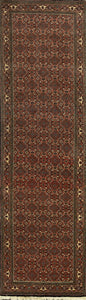 Bidjar Iran