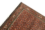 Afbeelding in Gallery-weergave laden, Bidjar Iran
