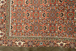 Afbeelding in Gallery-weergave laden, Bidjar Iran
