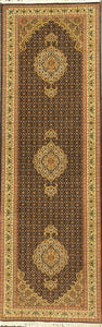 Tabriz Iran