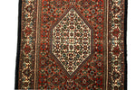 Afbeelding in Gallery-weergave laden, Bidjar Iran

