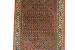 Afbeelding in Gallery-weergave laden, Bidjar Iran
