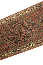 Afbeelding in Gallery-weergave laden, Bidjar Iran
