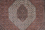 Afbeelding in Gallery-weergave laden, Bidjar Iran
