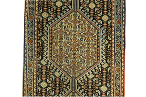 Saneh Iran